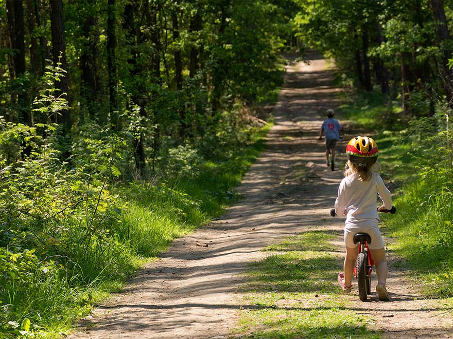 a child riding her bike down a wooded path